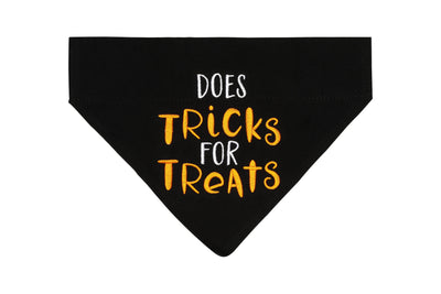 Trick or Treat Bandana, S/M - Rewired & Real