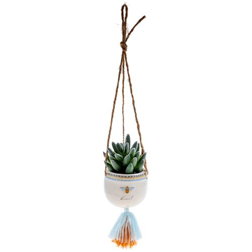 Hanging Succulent Pot Multiple Options - Rewired & Real