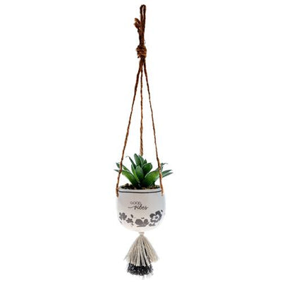 Hanging Succulent Pot Multiple Options - Rewired & Real