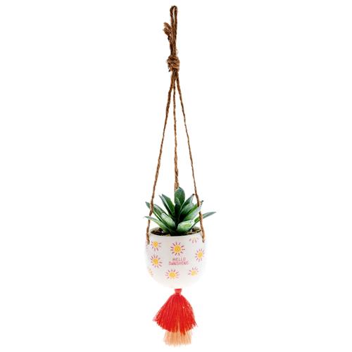 Hanging Succulent Pot Multiple Options - Rewired & Real