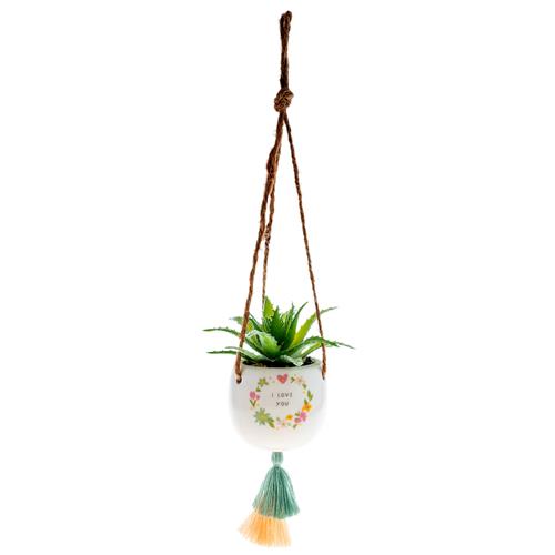 Hanging Succulent Pot Multiple Options - Rewired & Real