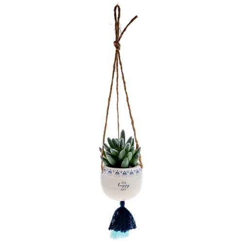 Hanging Succulent Pot Multiple Options - Rewired & Real