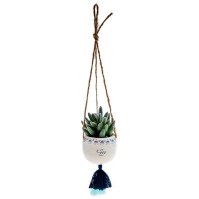 Hanging Succulent Pot Multiple Options - Rewired & Real